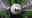 Decrypt