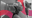 Decrypt