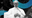 Decrypt