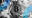 Decrypt