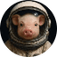 MOONPIG