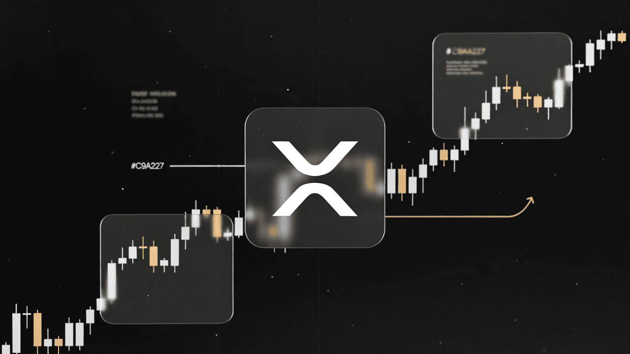 Free XRP Trading Signals: Where to Find Them in 2026
